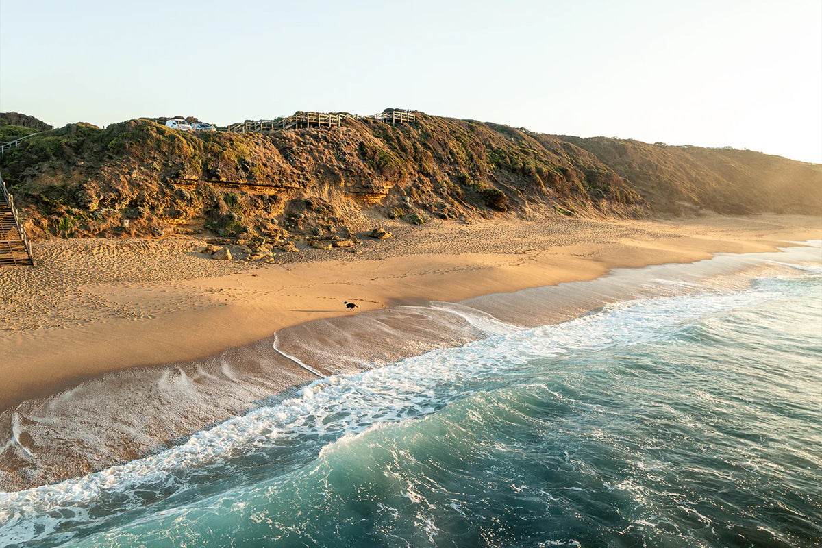 Why Torquay Hosts Choose Local Breaks