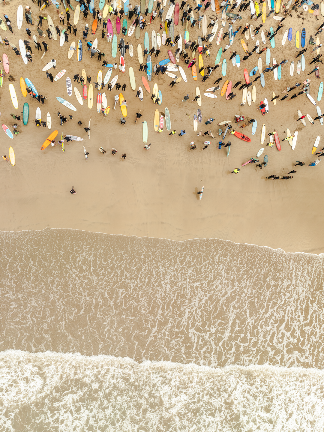 Black Friday Coastal Wall Art: 20% Off Sitewide at Local Breaks This November