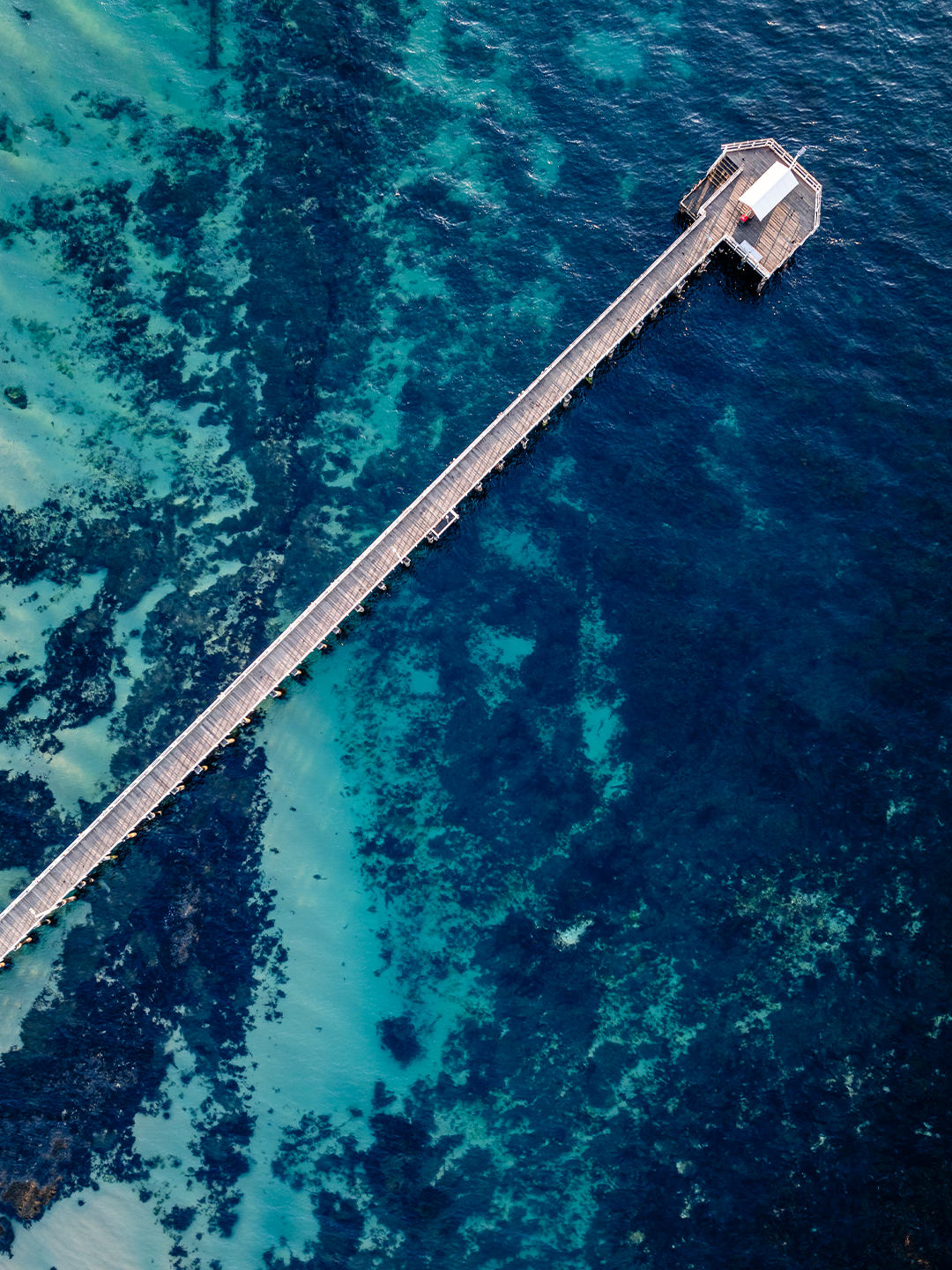 Point Lonsdale Art print I