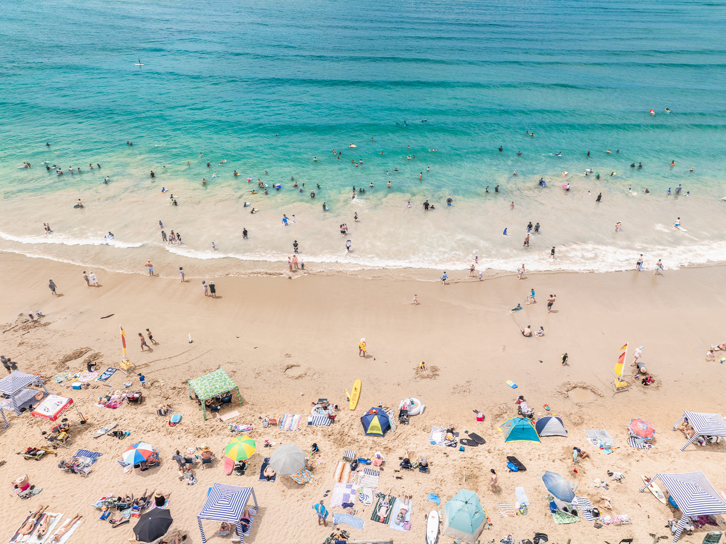 Things to Do in Point Roadknight: A Local's Guide to Anglesea's Best Kept Secret
