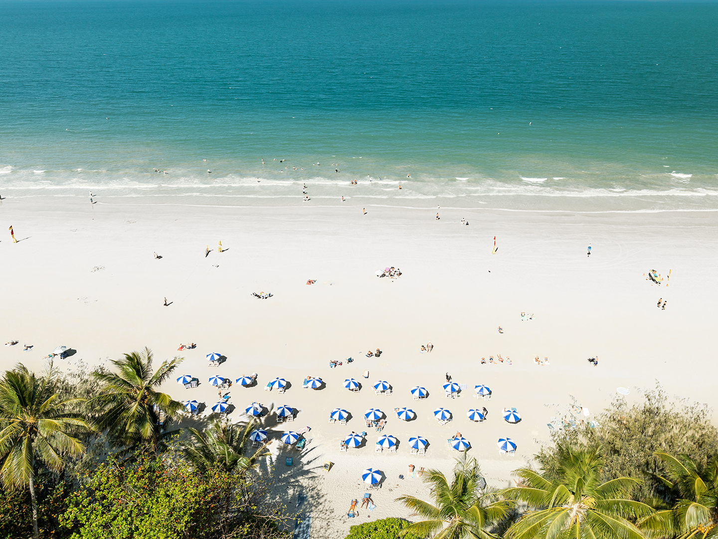 A Local's Guide to Things to Do in Port Douglas: Tropical Paradise Worth the Trip