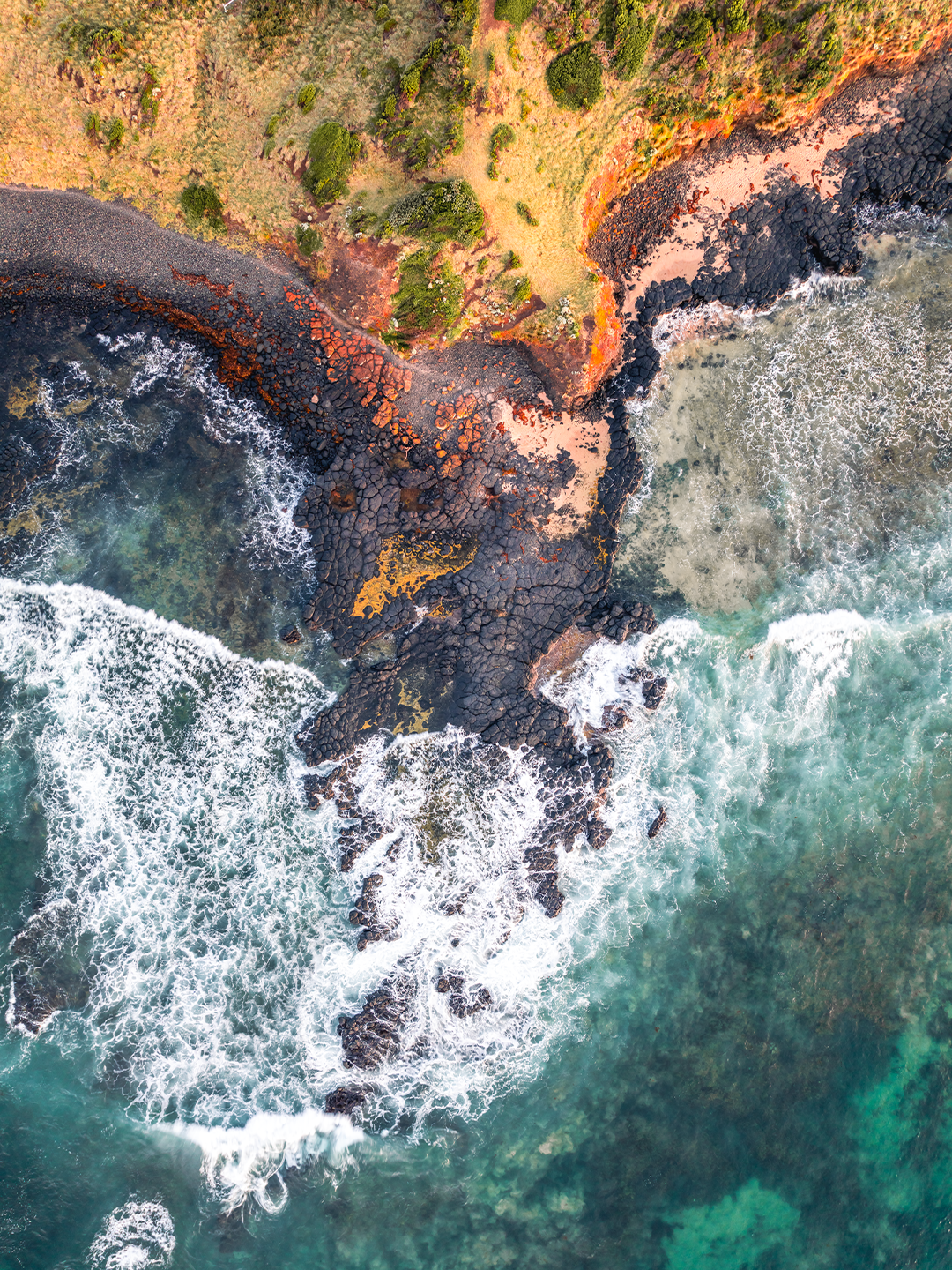 Phillip Island Art Print I