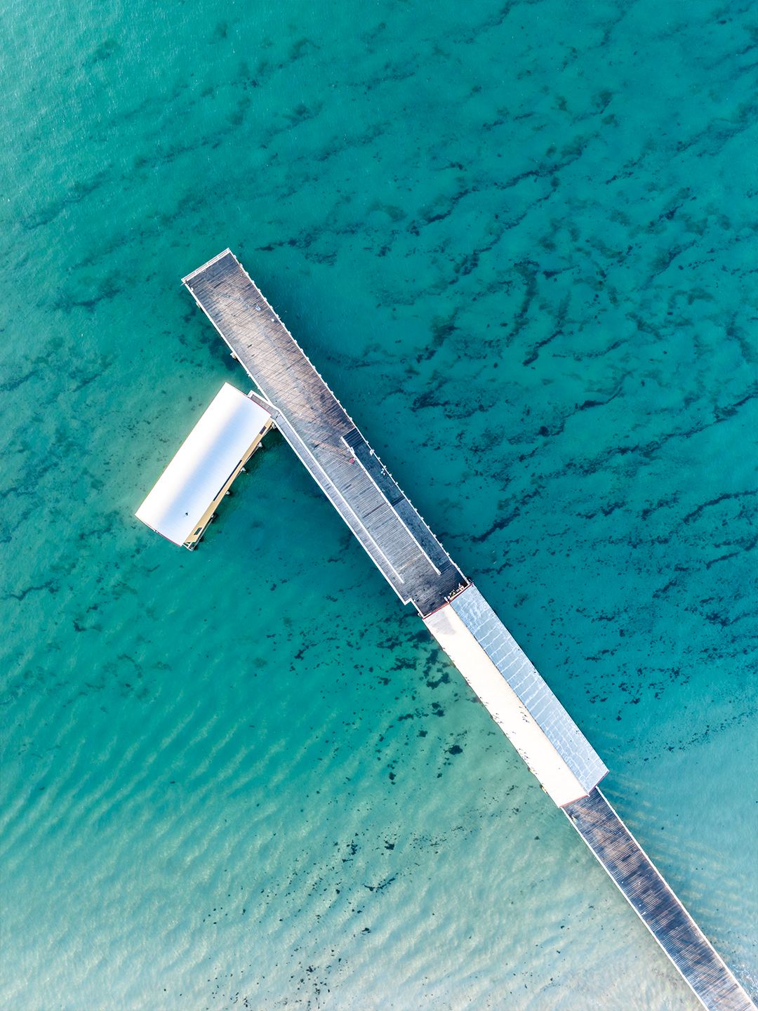 Queenscliff Art Print I