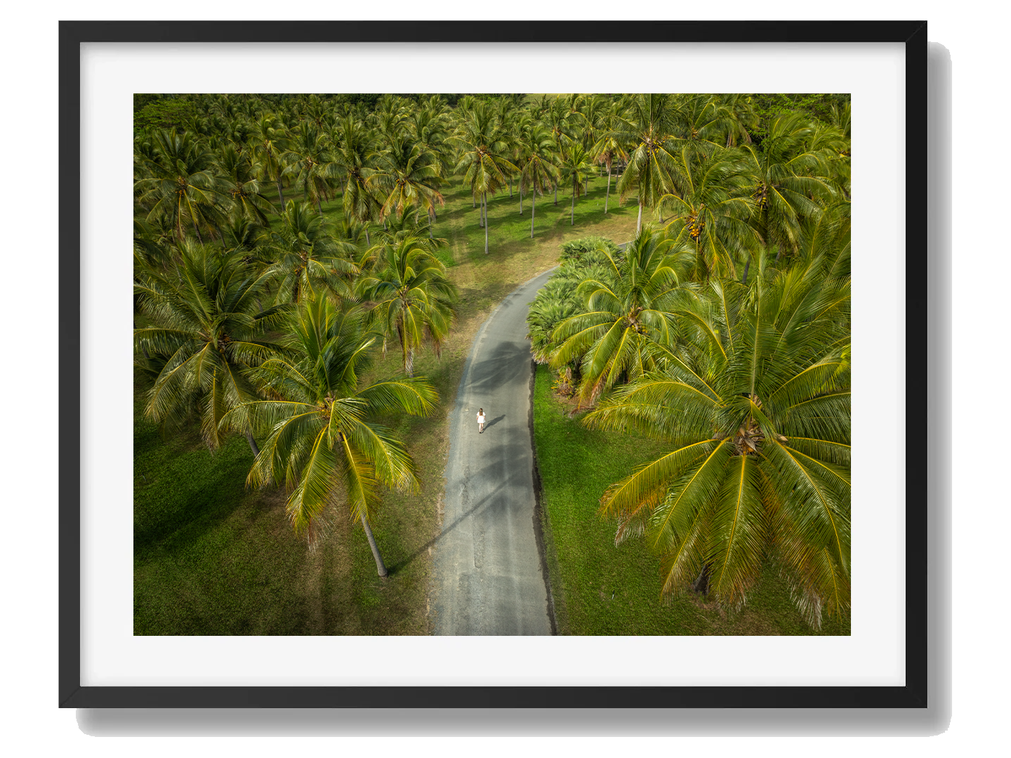 Thala Beach Art Print II Framed Black